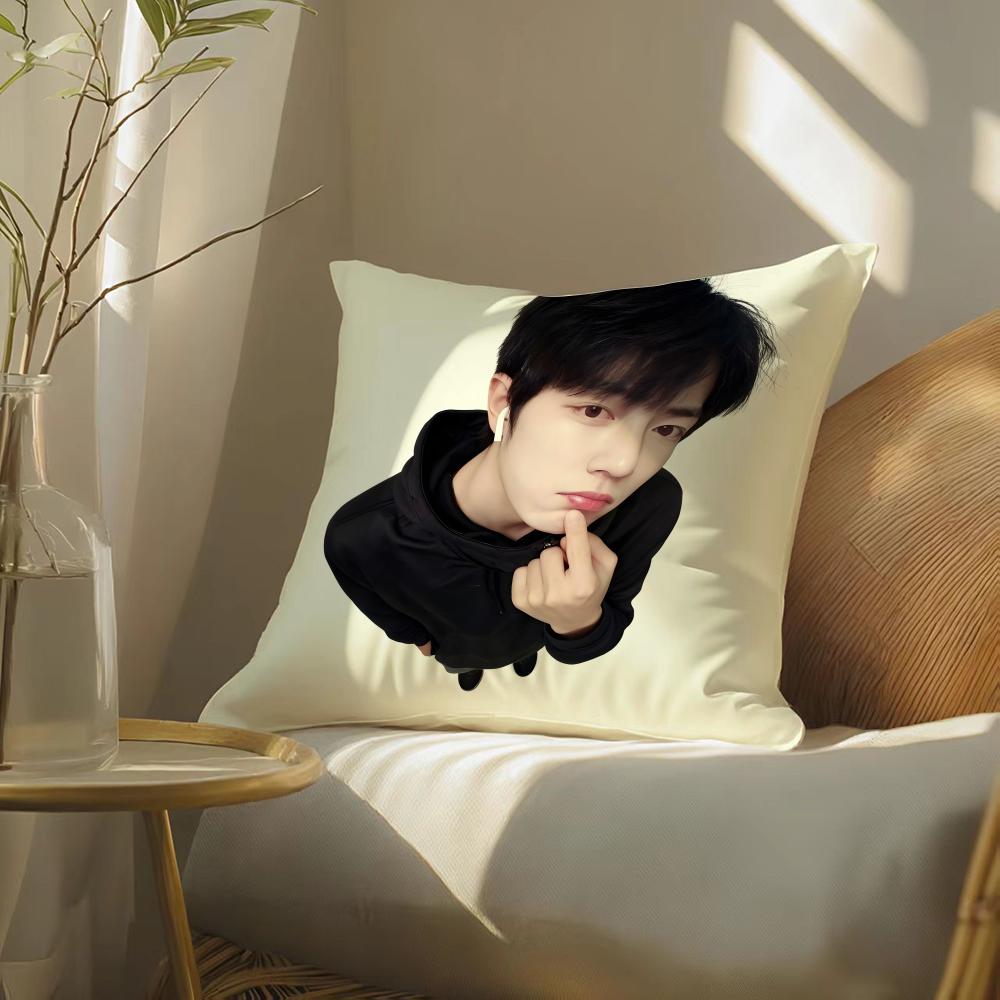 Sean Xiao Zhan Actor Pillow Case Double-Sided Plush Sofa Cushion Covers Organic Breathable Invisible Zipper