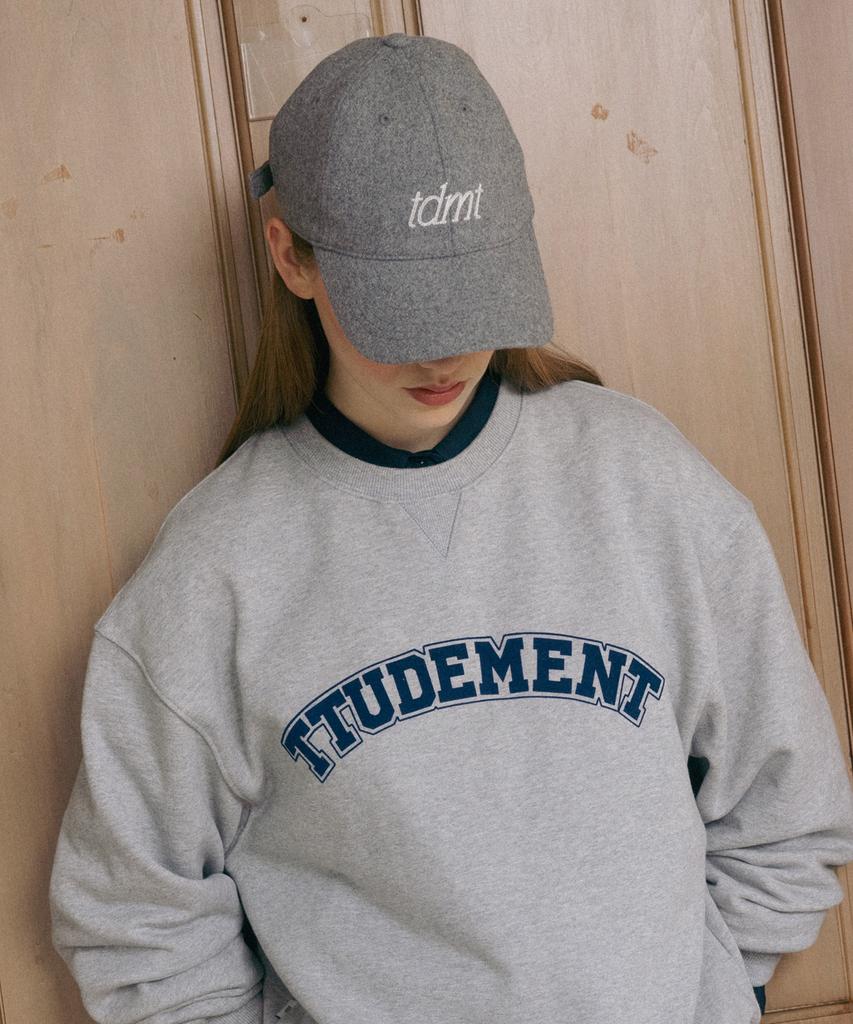 TTUDEMENT Tdmt Logo Ballcap Gray