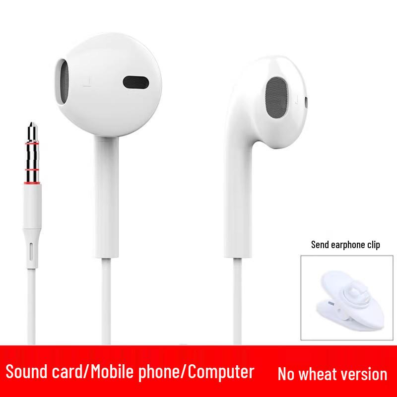 In-Ear Wired Computer Headphones with 2-3 Meter Cable & Microphone for Live Streaming