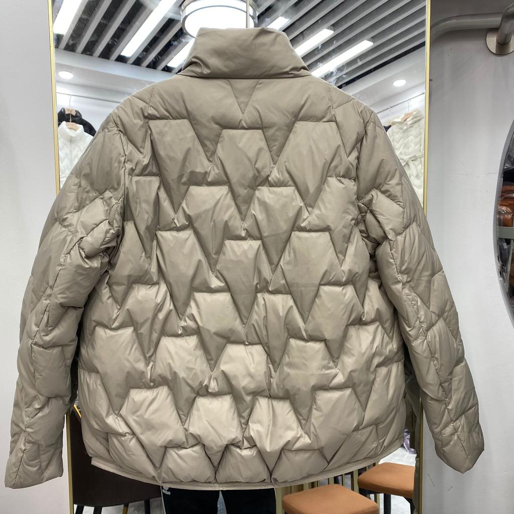 Short down jacket women's autumn new small top stand-up collar loose and thin versatile white duck down jacket trendy