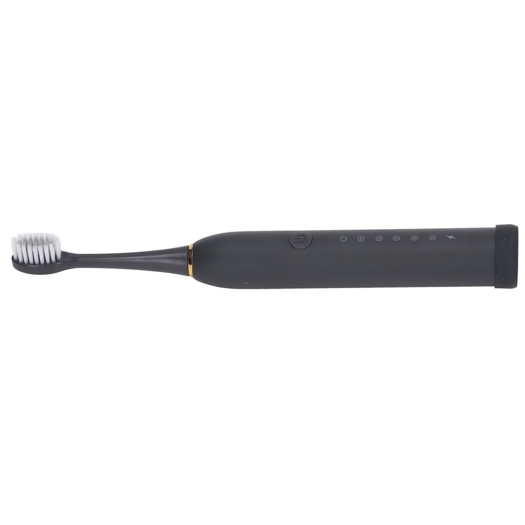 Electric Toothbrush IPX7 Waterproof 6 Modes Rechargeable Automatic Tooth Brush with 4 Heads Black