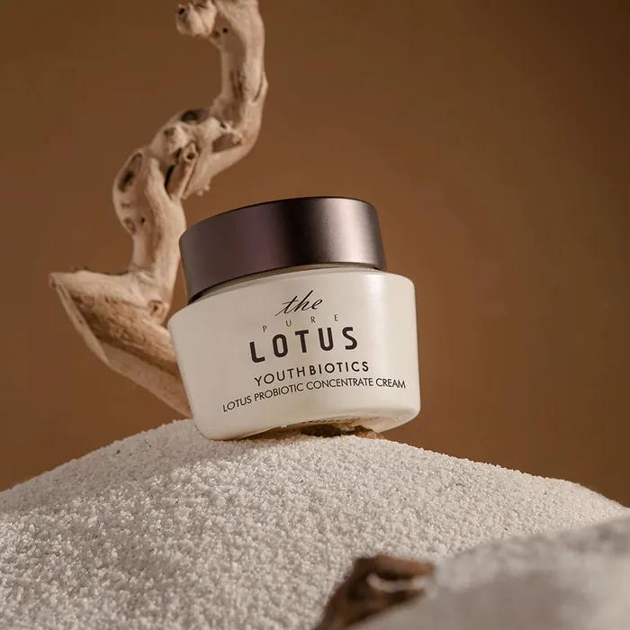 Crème Concentrée Ferment de Lotus YouthBiotics