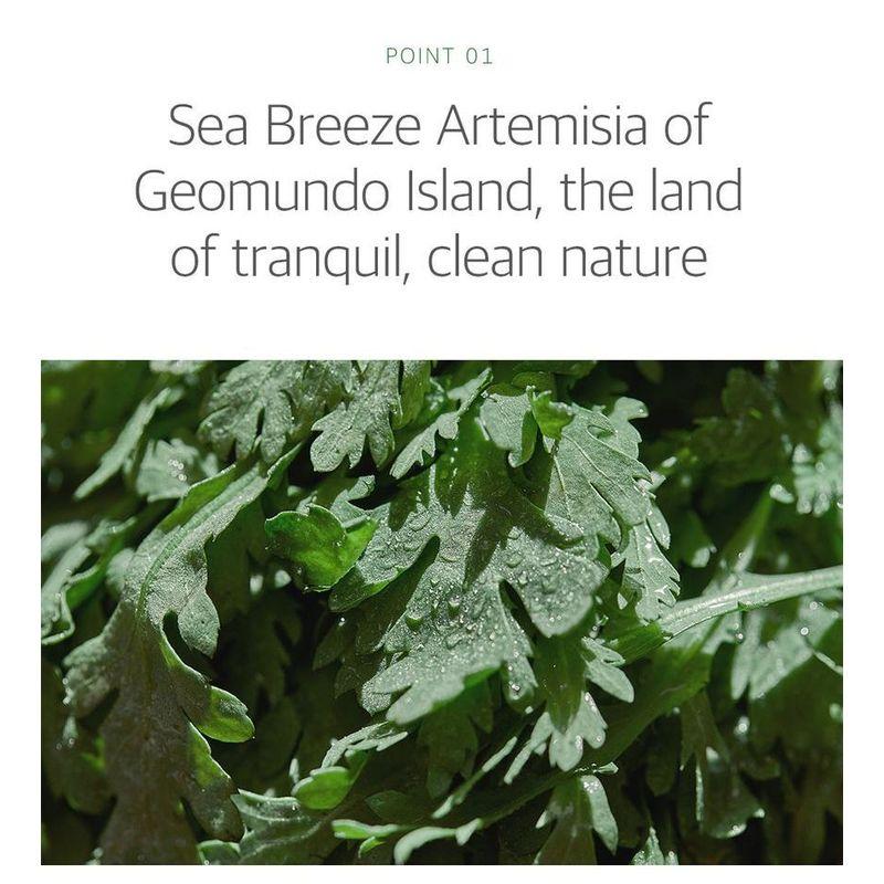 ROUND LAB - Mugwort Calming Toner