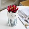 Cute Cartoon Animal Ceramic Flower Pot Creative Succulent Planter for Indoor Home Decor