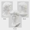 6 Inch Classic Roman Style Resin Bust, David Head Sculpture Figurine for Home and Office Art Decoration