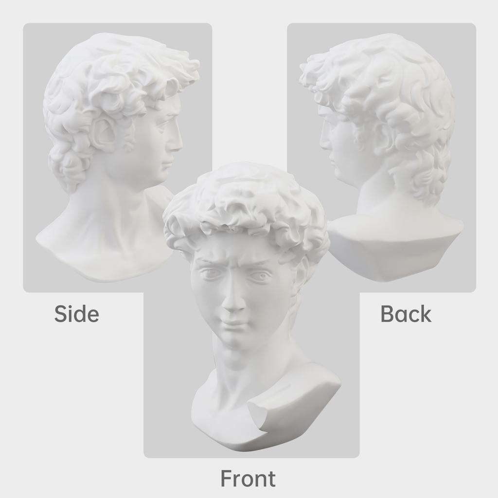 6 Inch Classic Roman Style Resin Bust, David Head Sculpture Figurine for Home and Office Art Decoration