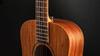 Taylor BT2e Baby Taylor Acoustic Guitar with Gig Bag Electric Acoustic Guitar (Official Import)