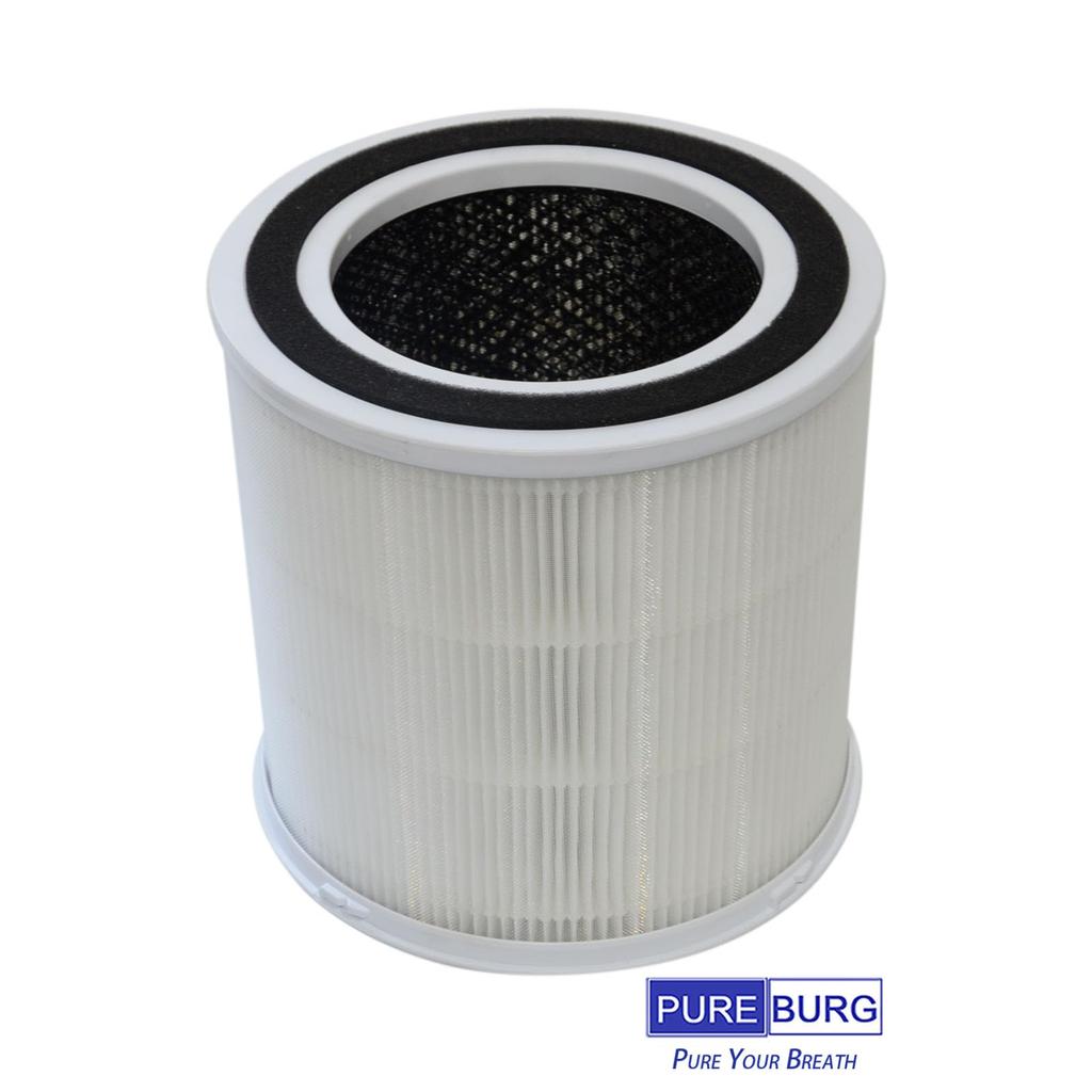 PUREBURG Replacement HEPA Filter Compatible with DAYETTE AP301 AP302 Airrobo AR400 FRESHDEW AP302 Air Pack of 2 AP301&JOWSET AP303(KJ4-2S/KJ3-2S) & &
