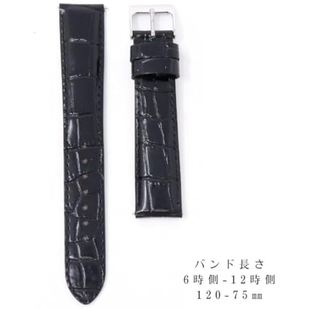 Seiko Band 20mm Cowhide Men's Black Black Watch Strap with Seiko Care Instructions RS03C20BK