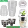 5/10Pcs Transparent Nursery Pots Hydroponic Seedling Germination Cup Seed Starting Pot Plant Gardening Planting Nutrition Cup