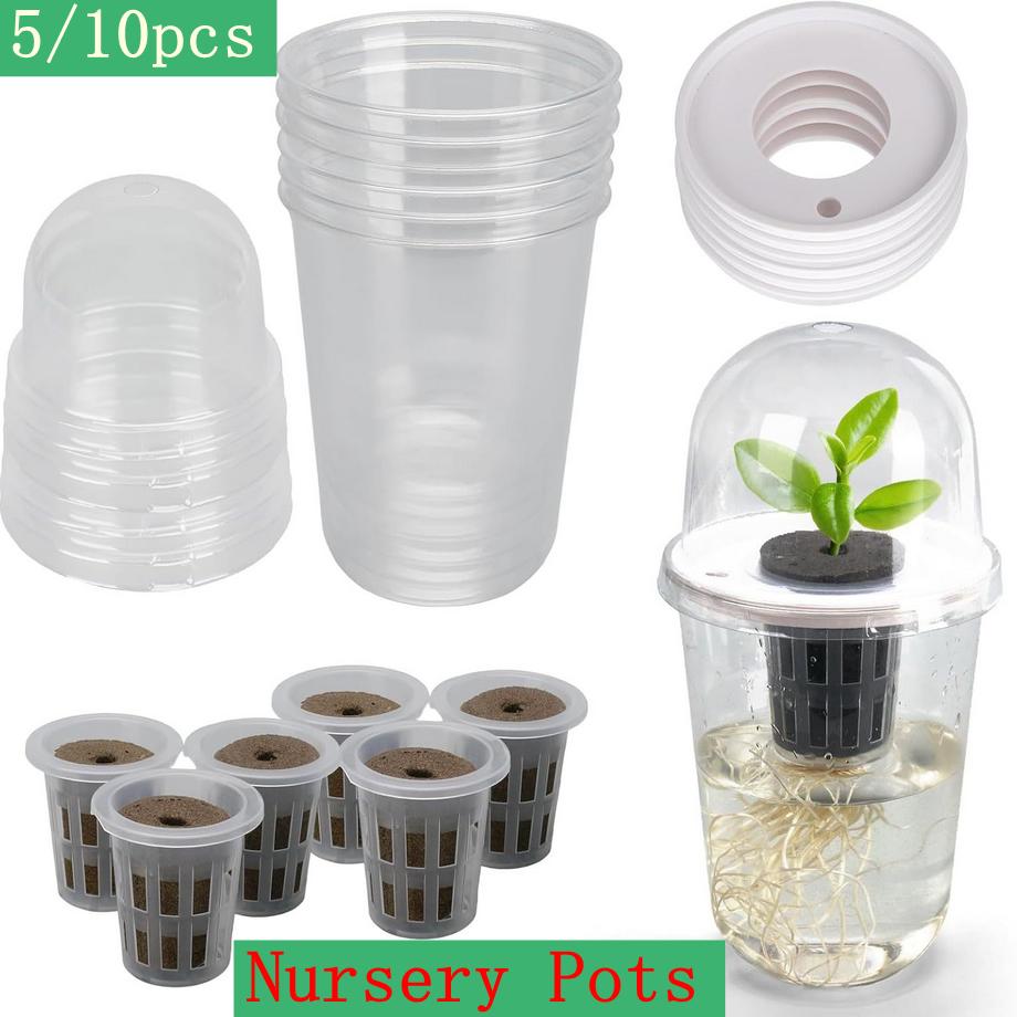 5/10Pcs Transparent Nursery Pots Hydroponic Seedling Germination Cup Seed Starting Pot Plant Gardening Planting Nutrition Cup