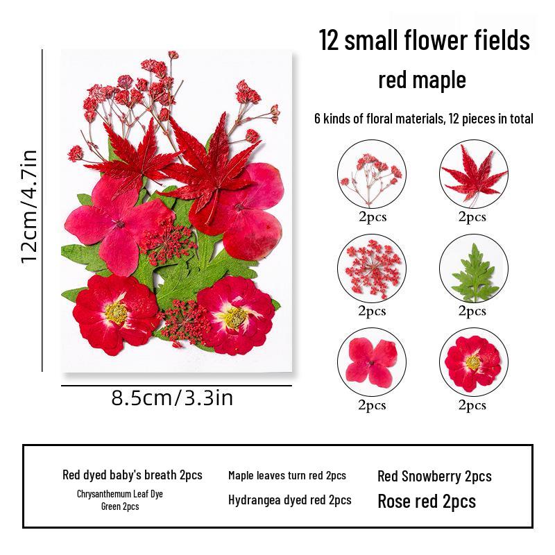 DIY Dried Flower Specimen Sticker Set for Kids: Handmade Pressed Flower Frames & Resin Bookmark Craft Kit