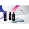LebeL Edol Color Shampoo SS (Sheer Silver) 150ml