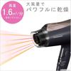Panasonic Hair Dryer Ionity Quick Drying Large Air Volume Brown Tone EH-NE4E-T