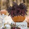 Black Persian Grass Artificial Flower Plants Ferns Burgundry Leaves Wedding Party DIY Floral Arrangement Home Wall Decorations