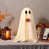 Yousheng Light-Up Sherpa Ghosts with Pumpkin Cute Ghost Tabletop Decoration for Halloween Indoor Home Kitchen Fireplace Decor