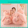 Pig Pink Cartoon Plush Toy Simulation Animal Doll Birthday Gift Home Decoration