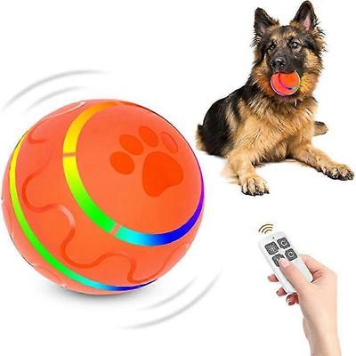 Cani – Giocattoli per cani