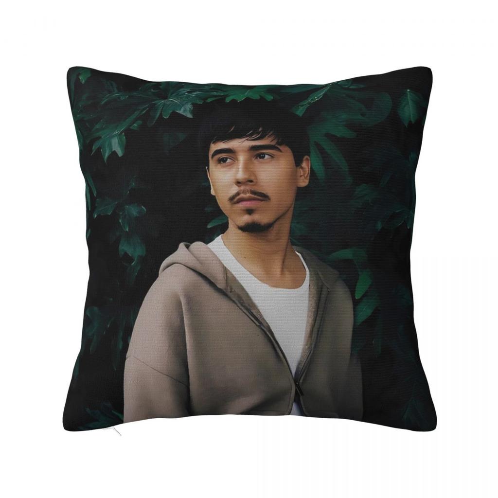 Pillow Cover Handsome Ivan Singer Cornejo Graphic Cushion Cover Cute Funny Pillow Case For Wedding Party Home Decor Pillowcases