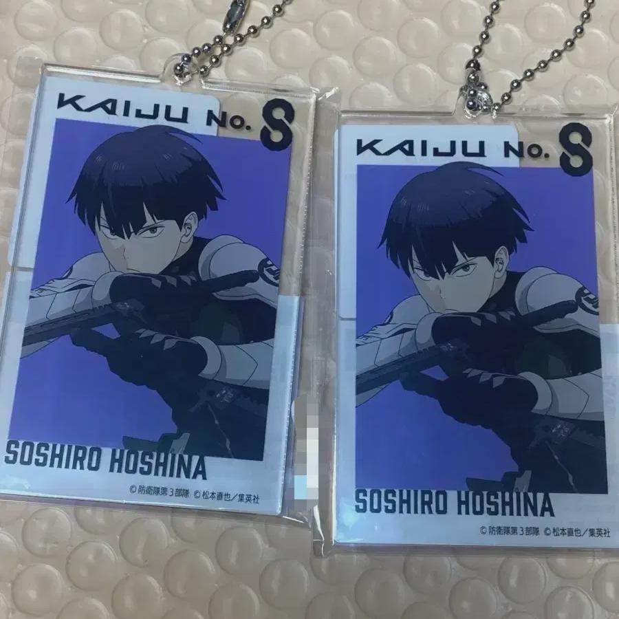 

Монстр 8 Базовый двор Акриловый Большой Тег Хошина Соширо Наруми