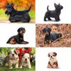 EYSCOTA 12 Pezzi Statuine Cane, Statuine Realistiche Cucciolo di Plastica, Animali Giocattolo Cane Piccolo Emulativo Dipinti a Mano, Decorazioni per Torta Cane Uova di Pasqua
