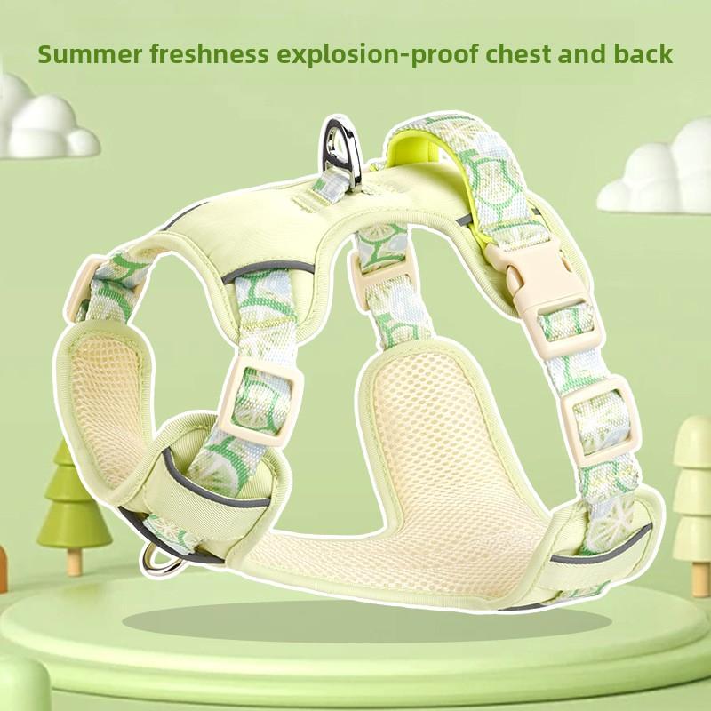 Dog Leash Summer Vest Type Pet Harness Breathable Dog Leash Large, Medium and Small Dog Corgi Bigbear Outing Chain
