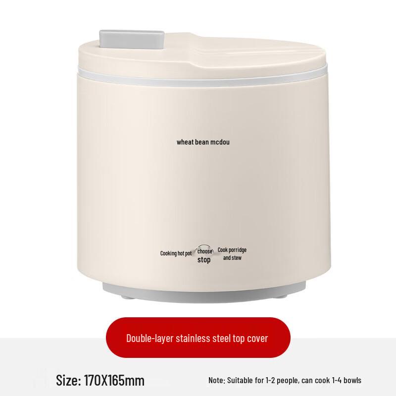 Compact Multi-functional Electric Cooker