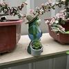 Animal Statue Decorative Vivid Resin Anti-deform Decoration Wear-resistant Garden Frog Sculpture for Outdoor