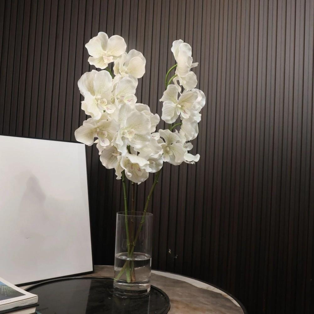 Plastic Phalaenopsis Branch Moisturizing Real Touch Orchids Simulation Flower  Office Decor