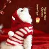 Katten – Kleding voor katten