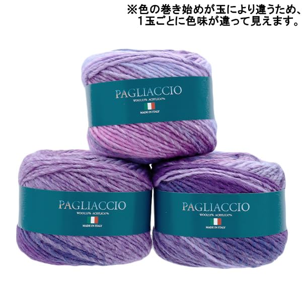 SKIYARN Yarn Color Autumn/Winter "Paiaccio 703"