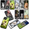 Funny Kitten Cat Phone Cover Case for Xiaomi Redmi Note 15 11 9 10 Pro Plus A5 9A 9T 10A 10C 9C NFC 15C 8T Casing