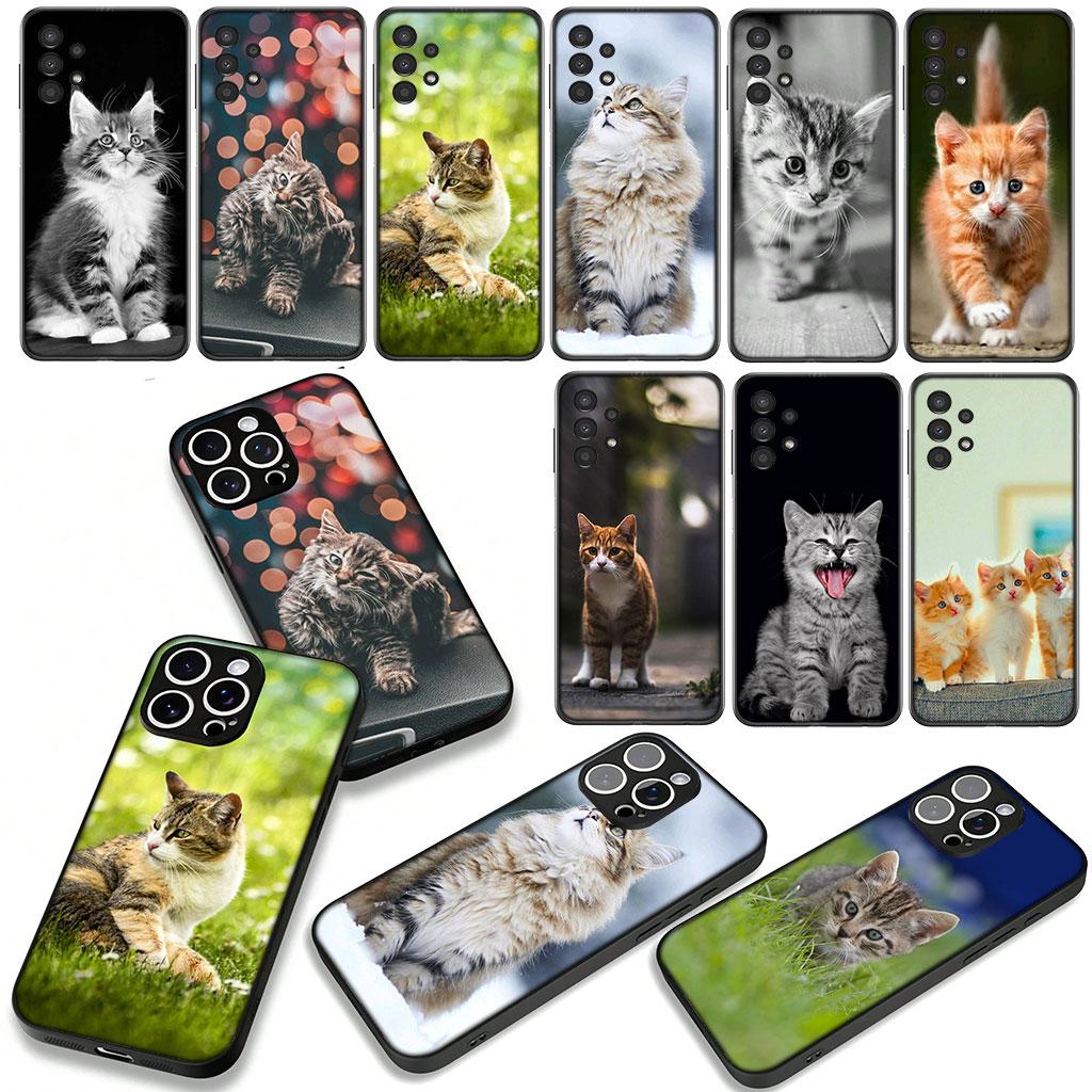 Funny Kitten Cat Phone Cover Case for Xiaomi Redmi Note 15 11 9 10 Pro Plus A5 9A 9T 10A 10C 9C NFC 15C 8T Casing