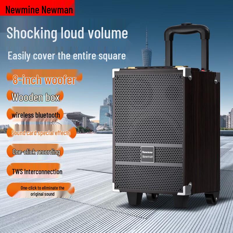 

Newsmy N557 Portable Trolley Speaker