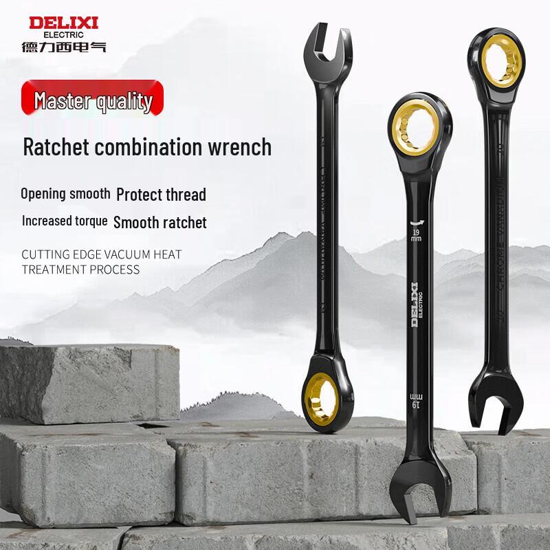 DELIXI Ratchet Wrench Set