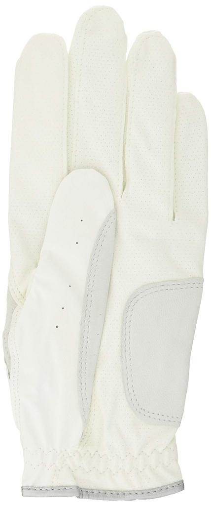 DUNLOP SRIXON Golf Gloves 22 Golf Gloves GGG-S016 White/Silver