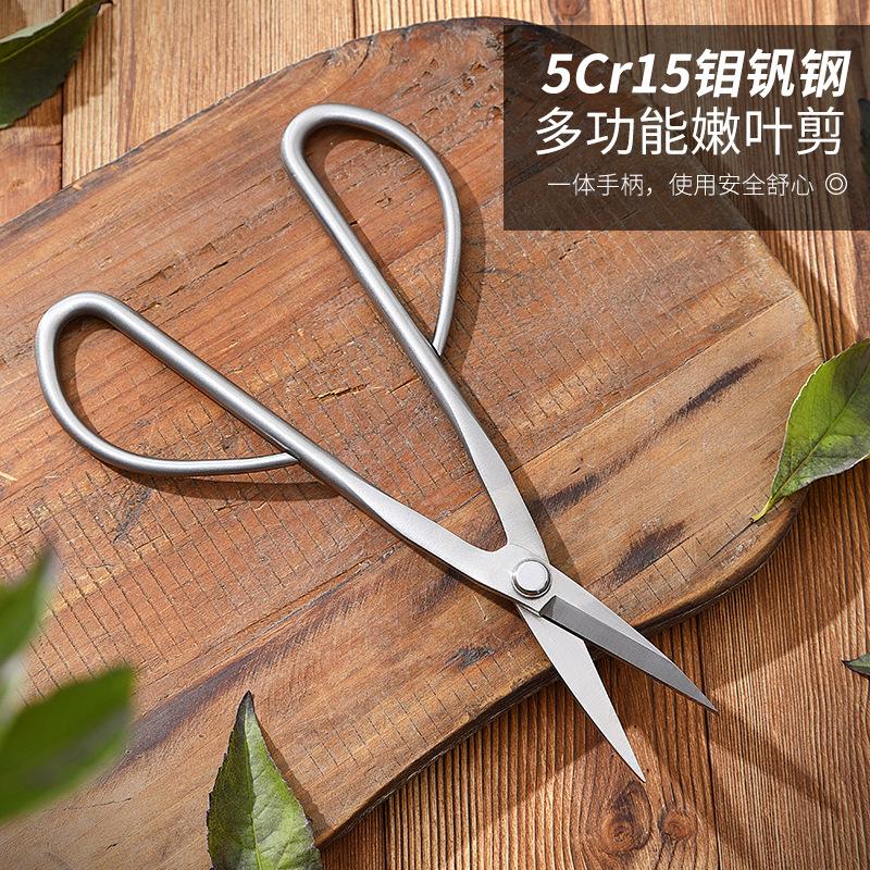 Edelstahlschere Gartenarbeit Pflanzenschere Blumenschneiden Blumenschere Blumenladen Schere Blumenladen Schere