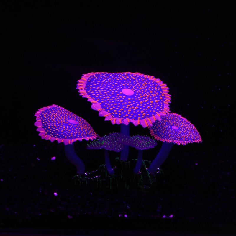 Simulation Koralle Leuchtendes Wassergras Aquarium Fischbecken Landschaftsdekoration Silikon Bunter Kreis Wasserpflanze Heimdeko