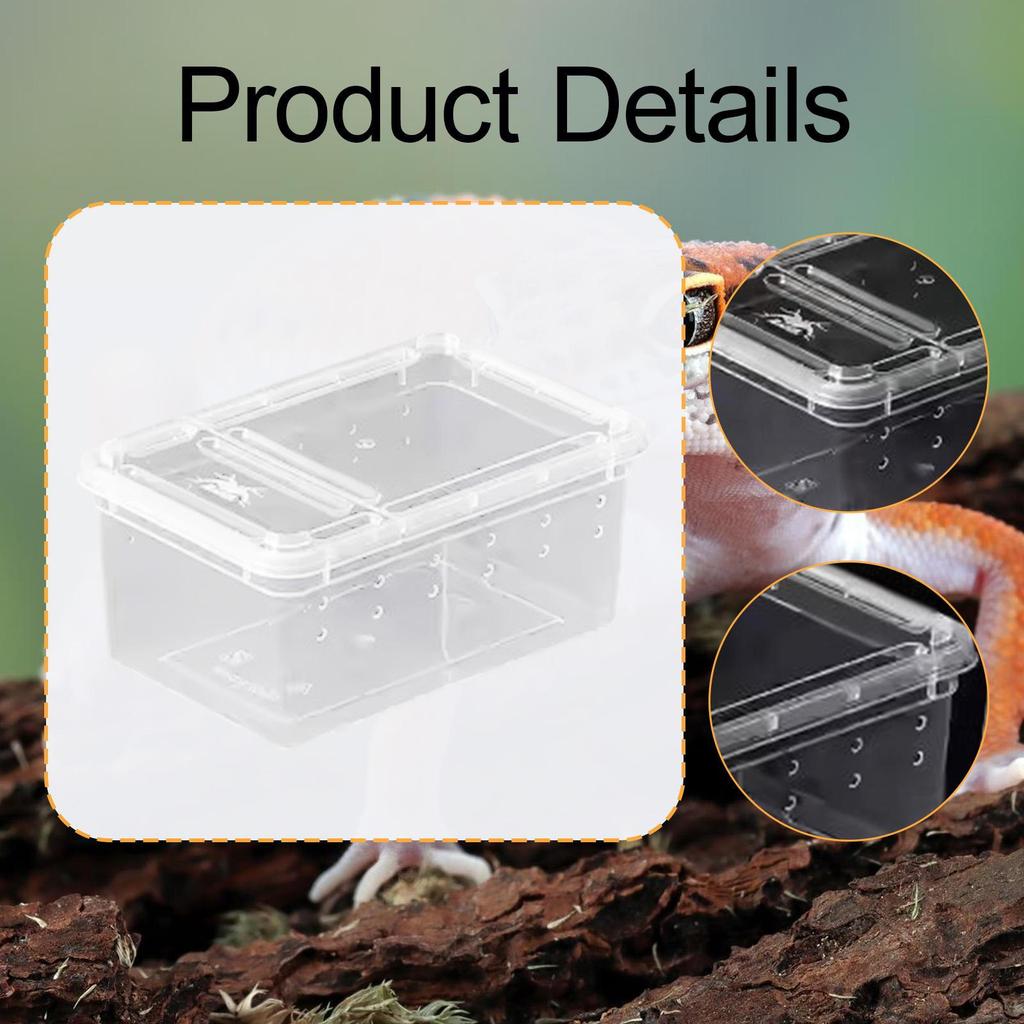 Reptile Feeding Box Breeding Critter Hatching Container Clear Terrarium Habitat Cage for Animal