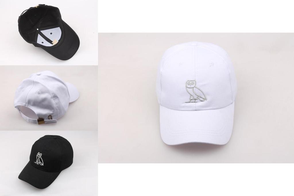 Trendy Unisex Cotton Baseball Cap With Embroidered Owl And Duck Patterns Wholesale