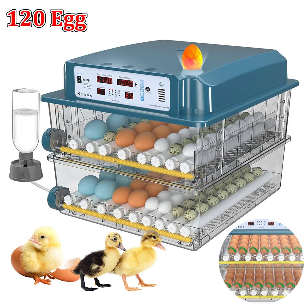 Инкубатор на 120 яиц, Бытовой инкубатор, Выращивание цыплят для ферм, Оснащен автоматическим переворотом яиц и контролем температуры US