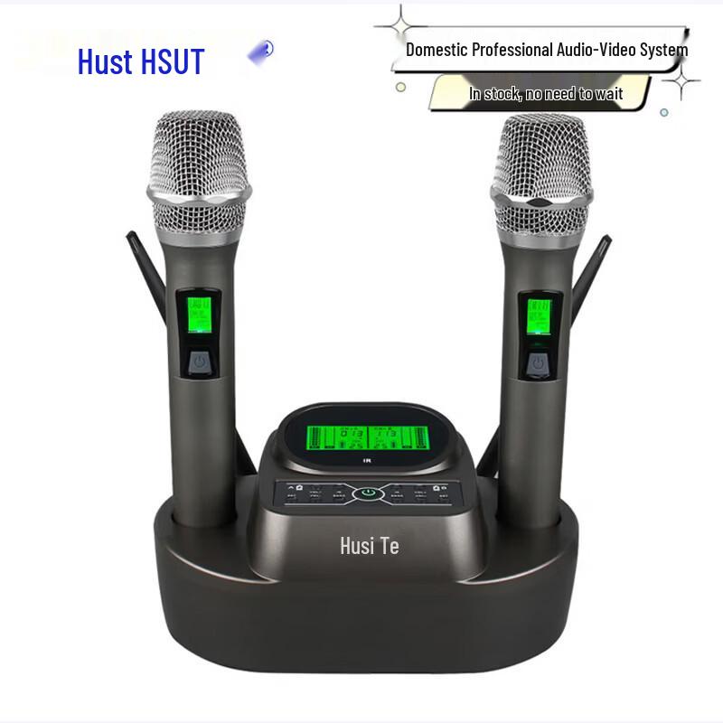 

Husite DC-101-2 Dual Wireless Conference Microphone System (CN version)