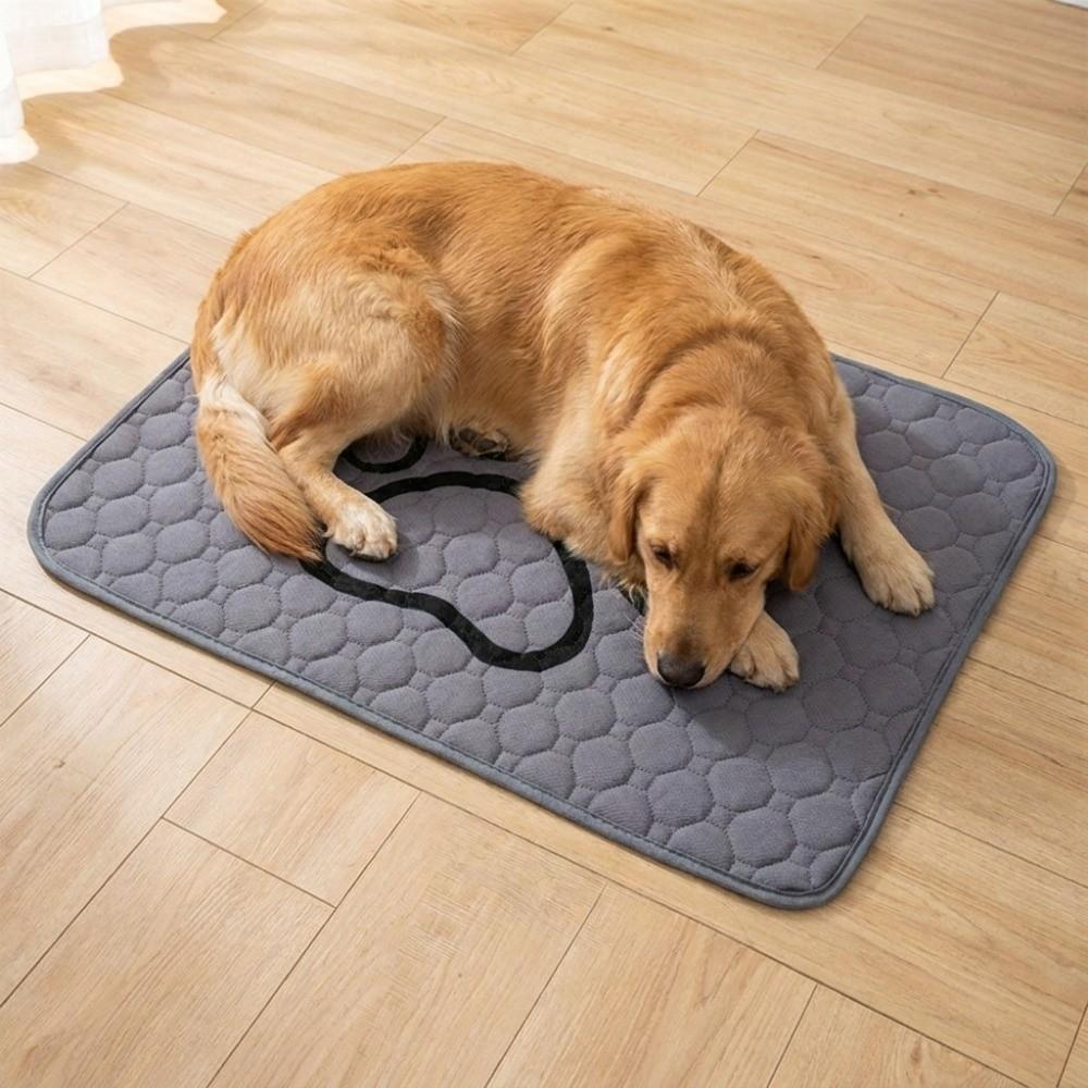 Washable Dog Pee Pad Reusable Dog Urine Pads Dog Pee Pad Blanket Pet Bed Urine Mat Crate Training