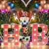1pc Vibrant LED Lighting Letter - Battery Powered,Dimmable for Bedroom, Birthday Party, Wedding, Home, Christmas, and Eid Al-Adha Mubarak Decorations