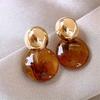 Brown Resin Tiger Eye Stone Dangle Earrings for Women Silver Needle Earring Personality Melard Jewelry