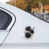 Svarte og gyldne glitterrose-dekaler, Bilklistremerker, Støtfangerklistremerker, Kjøretøyklistremerker, Klistremerker for å dekke riper på bilen, Vindusklistremerker, Bilpynt