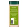 Biotique Henna Shampoo & Conditioner 180ml, Color Protection for Normal Hair, Natural Herbal Haircare, No Preservatives