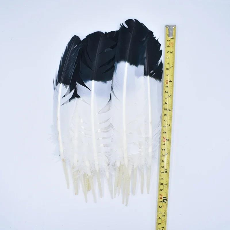 10Pcs Real Natural Eagle Feathers for Crafts Decoration Turkey Pheasant Carnival Hats Accessories Feather Decor Plumes Headpiece