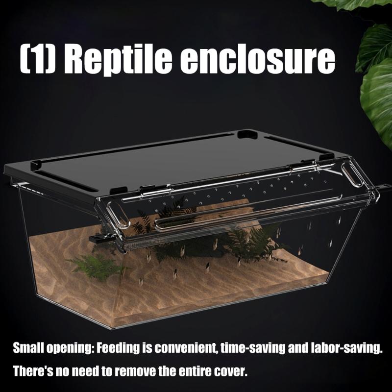 High Ventilation Reptiles Terrariums For Small Pet Transparent Easy Monitoring Design Small Pet Habitat Enclosure Box
