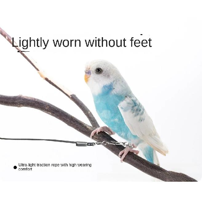 New Elastic Parrot Traction Rope Metal Buckle Multiple Size Bird Foot Chain Anti-flying Lightweight Bird Feet Bracelet for Birds